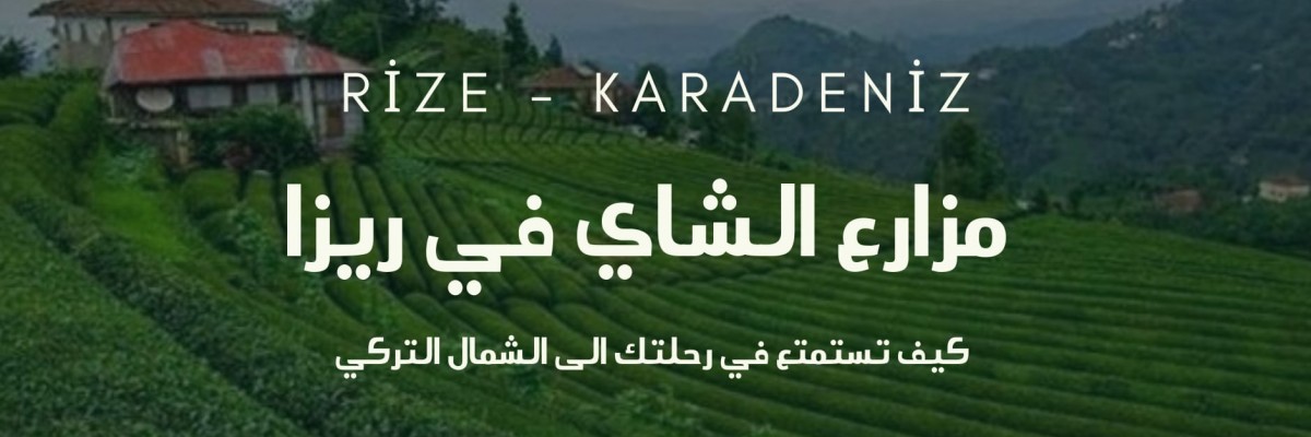 مزارع الشاي في ريزا